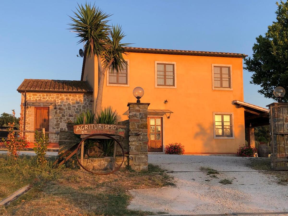 Agriturismo Il Saragiolo Villa Montemerano Bagian luar foto